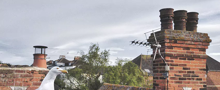 Chimney Cleaning And Restoration in Saratoga Springs, Utah